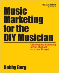 Music Marketing for the DIY Musician (Independent Music Success) - independent artists